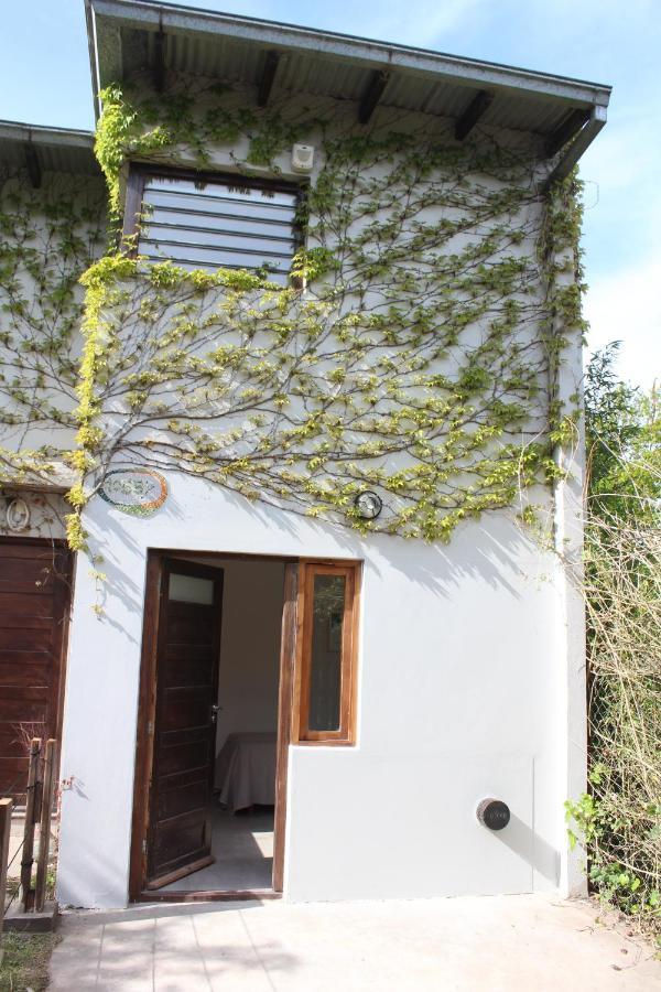Апартаменти Casita Moderna Frente Al Bosque Мар-дель-Плата Екстер'єр фото